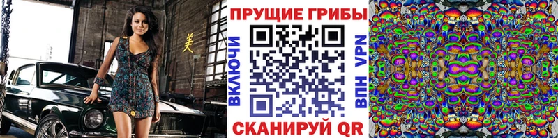 даркнет сайт  нарко площадка Telegram  Псилоцибиновые грибы GOLDEN TEACHER  Аркадак 